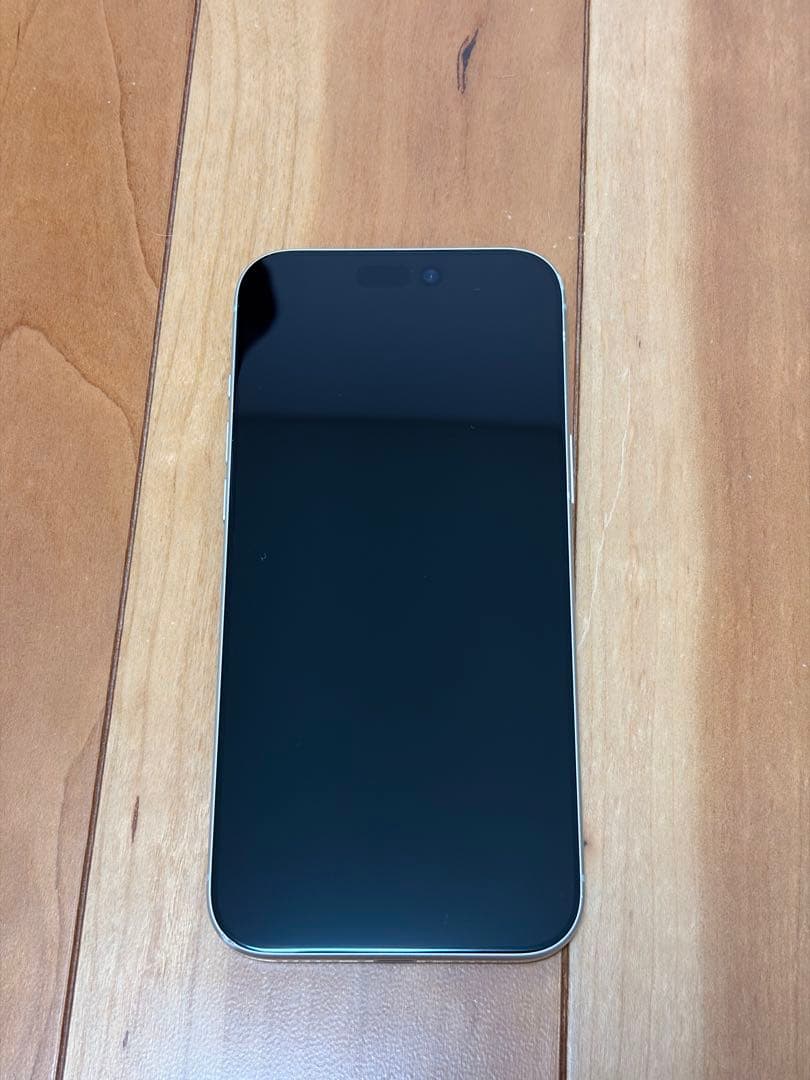 iPhone 17 Pro Max シルバー 256GB AppleCare+