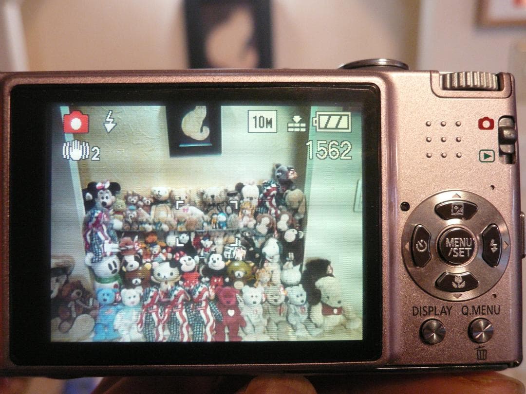 LUMIX★DMC-FX35⭕️実働品⚠️フラッシュ不可★光学４倍1010万画素