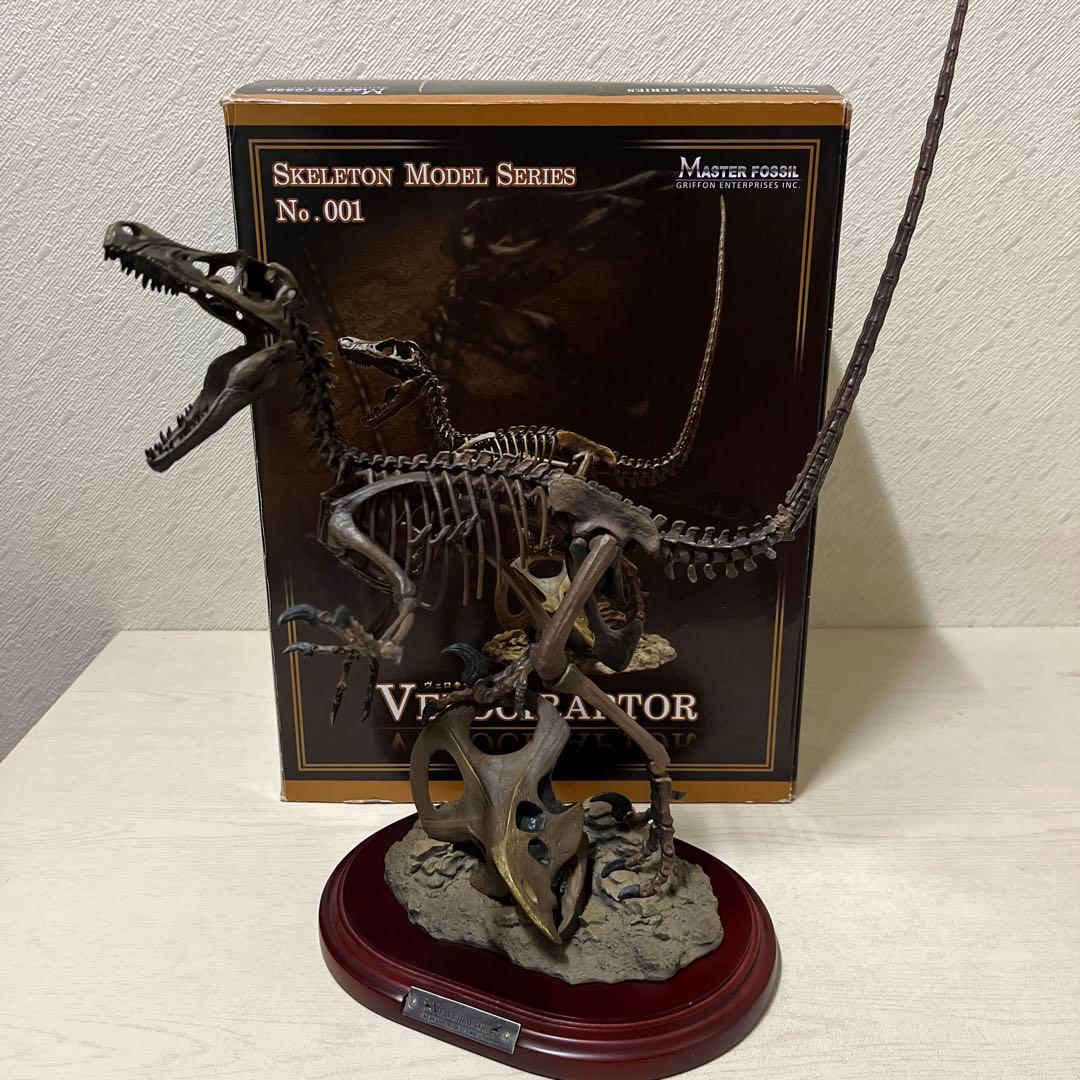 ヴェロキラプトル　骨格　模型