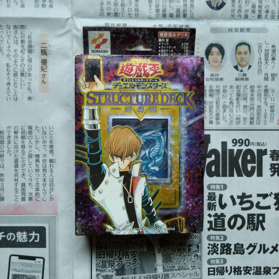 海馬　ストラクチャー