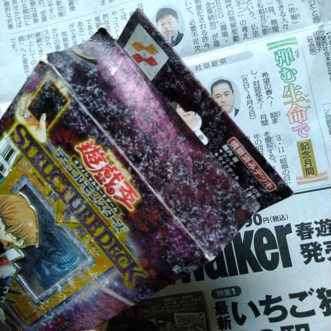 海馬　ストラクチャー