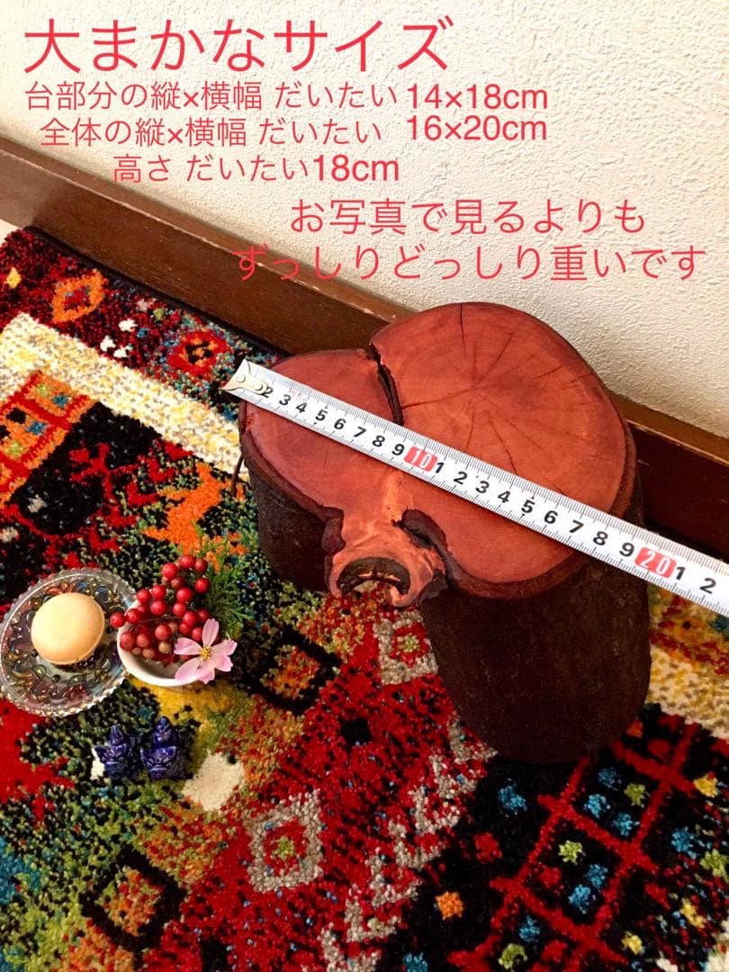 希少縁起木！天然木斛【年輪2つ！森と大自然の切り株飾り台】インテリア台＊植物台