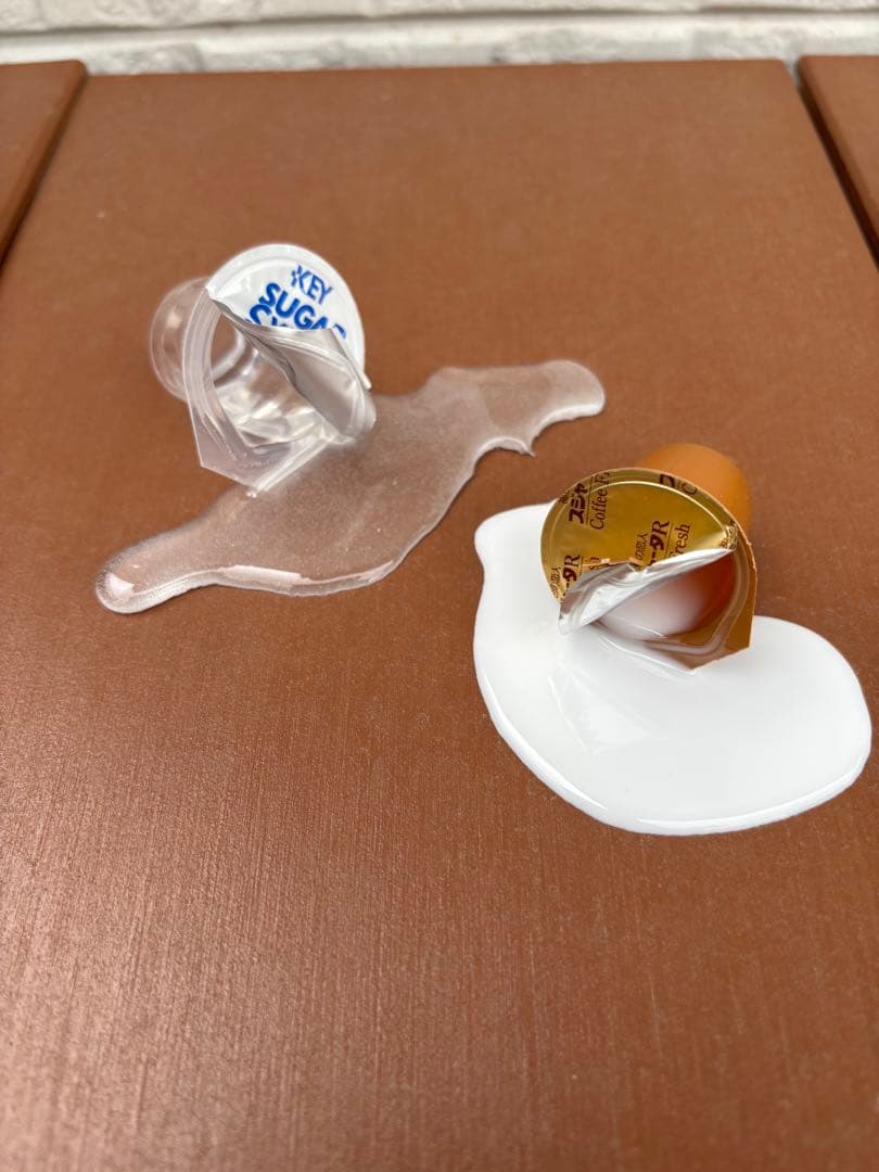 KAZU 食品サンプル
