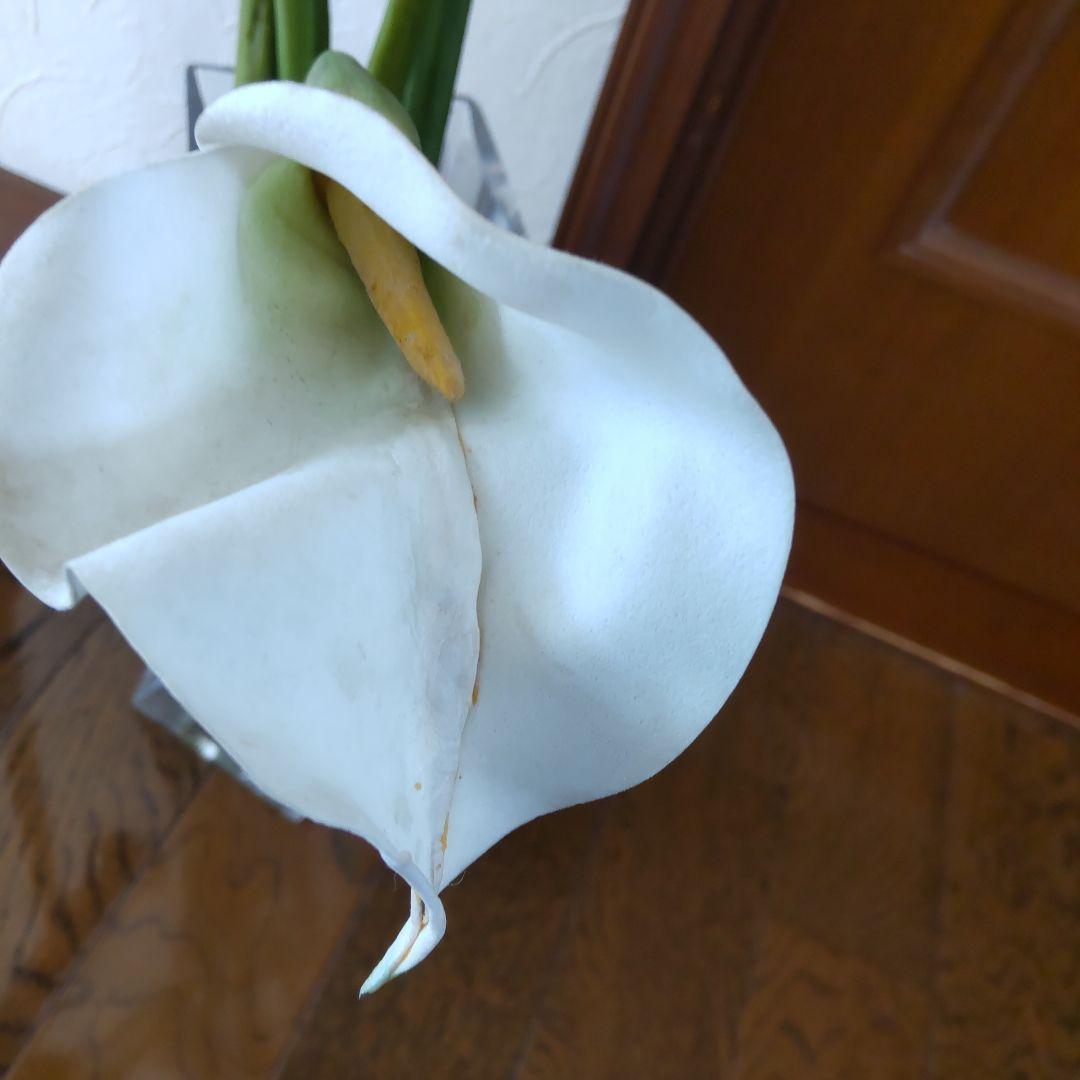 エミリオ・ロバ　花瓶付きカラー