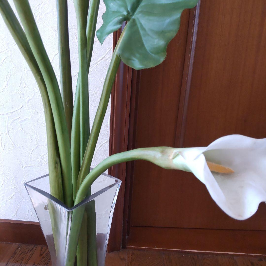 エミリオ・ロバ　花瓶付きカラー