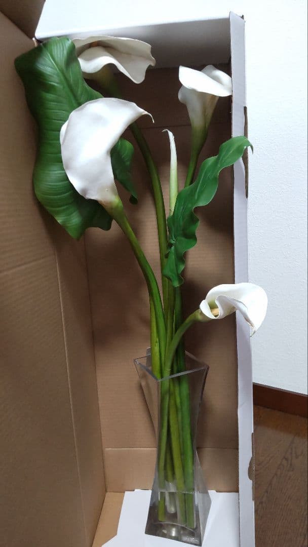 エミリオ・ロバ　花瓶付きカラー