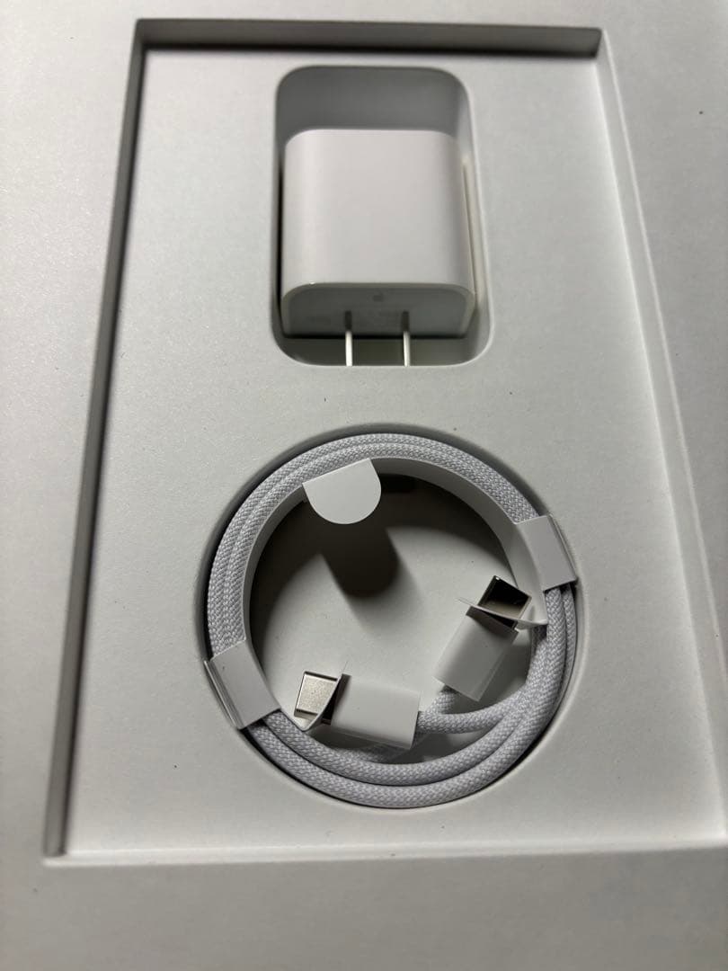 iPad 64GB 第10世代 SIMフリーシルバー 本体 充電器付き
