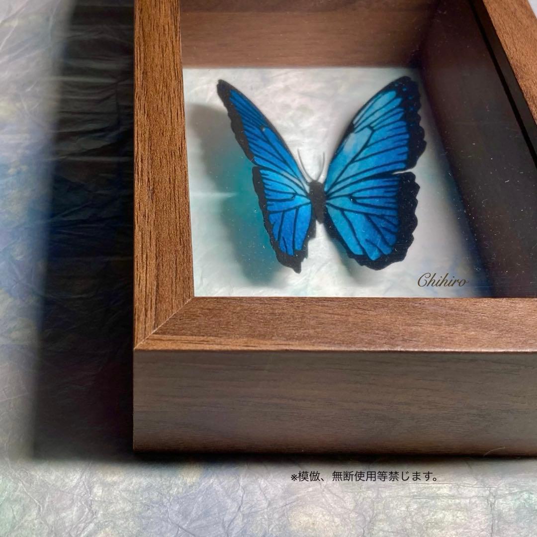 絵画 蝶 切り絵 蝶標本 モルフォ ドイツ箱 昆虫 青い蝶 希少 art 3D