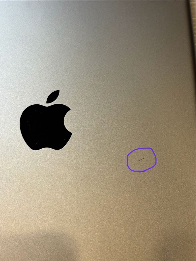 iPad Pro 10.5インチ　Wi-Fi + Cellular 64GB
