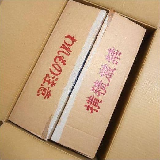 おひなさま 雛人形 親王飾り ケース飾り ひな祭り