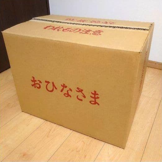おひなさま 雛人形 親王飾り ケース飾り ひな祭り