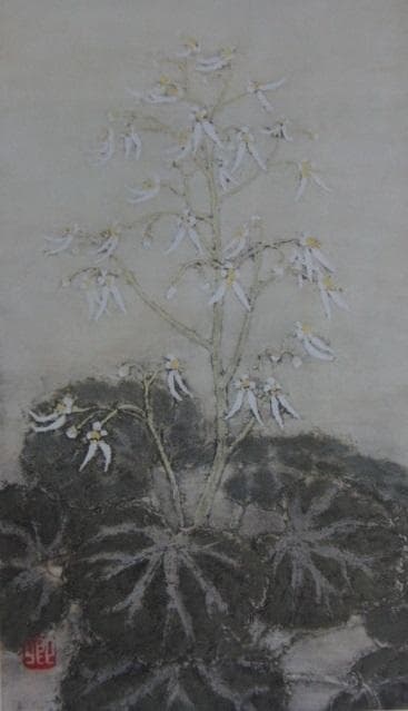 澁澤卿、【虎耳草】、希少な額装用画集より、新品額装付、状態良好