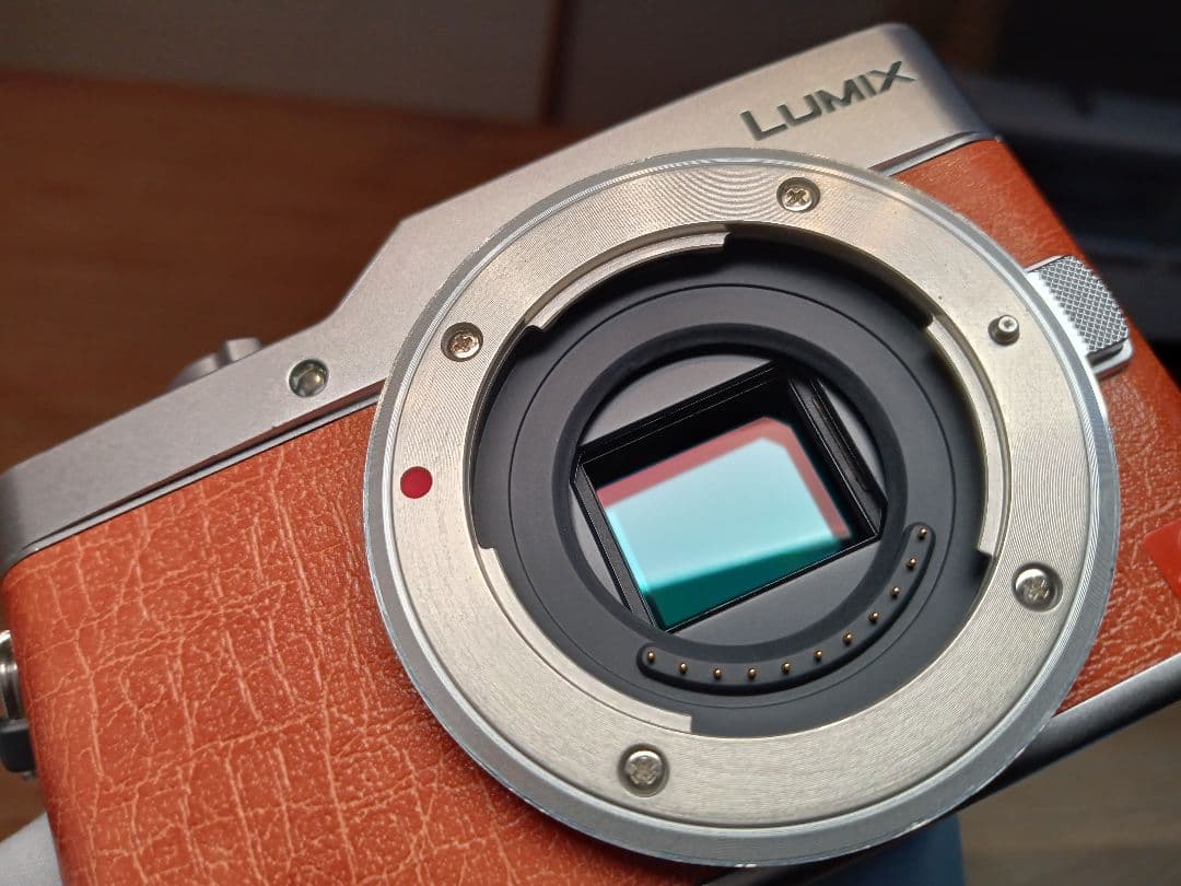 【センサー清掃済み】完動良品 LUMIX DC-GF9 ボディ 【保証付き】