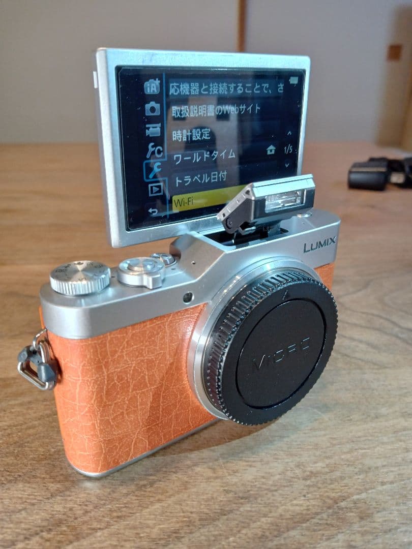 【センサー清掃済み】完動良品 LUMIX DC-GF9 ボディ 【保証付き】