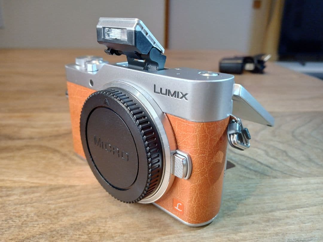 【センサー清掃済み】完動良品 LUMIX DC-GF9 ボディ 【保証付き】