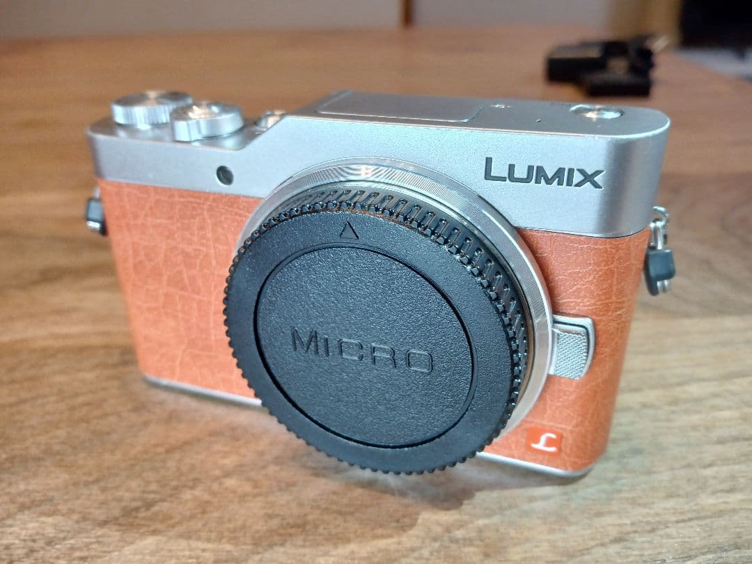 【センサー清掃済み】完動良品 LUMIX DC-GF9 ボディ 【保証付き】