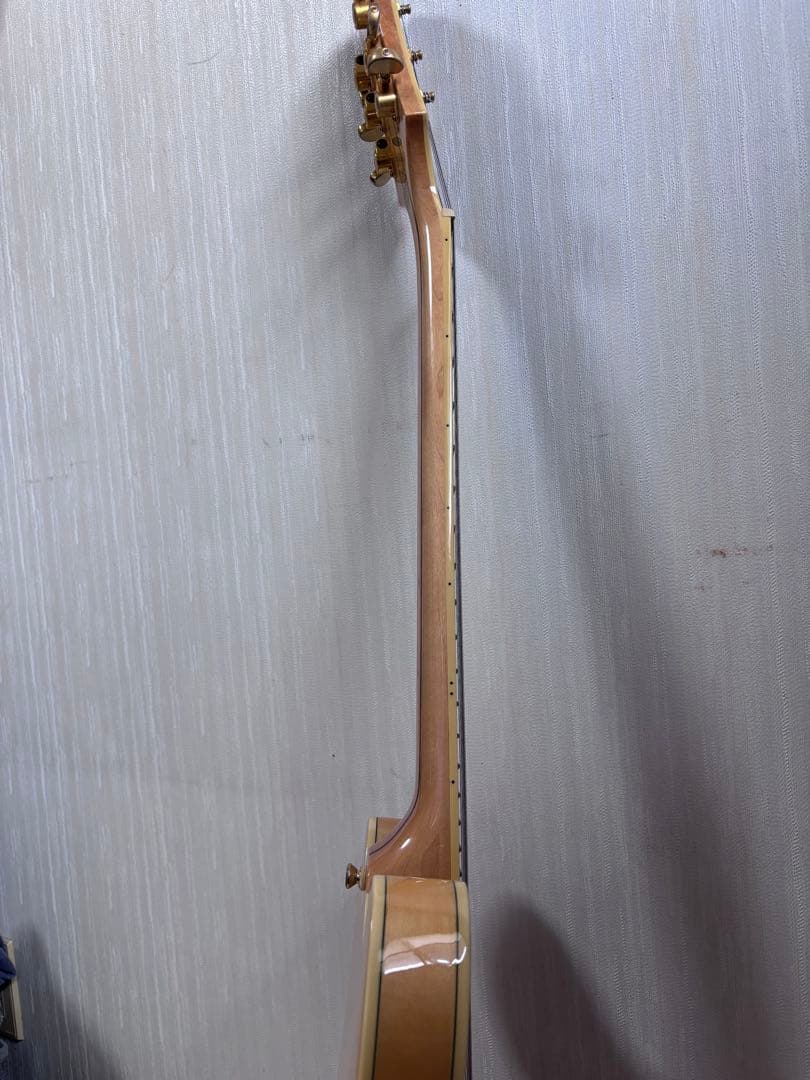 Epiphone Sheraton Ⅱ pro NA セミアコ ハードケース付