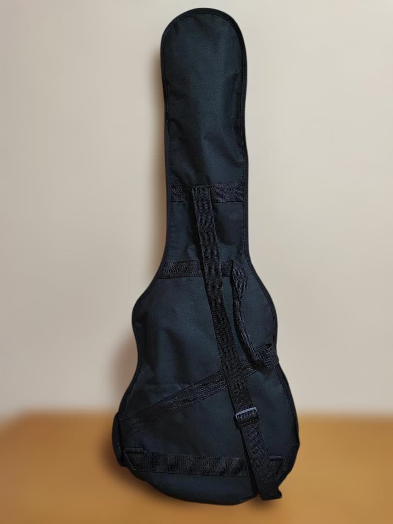 BLITZ　BLP-450 レスポール サンバースト