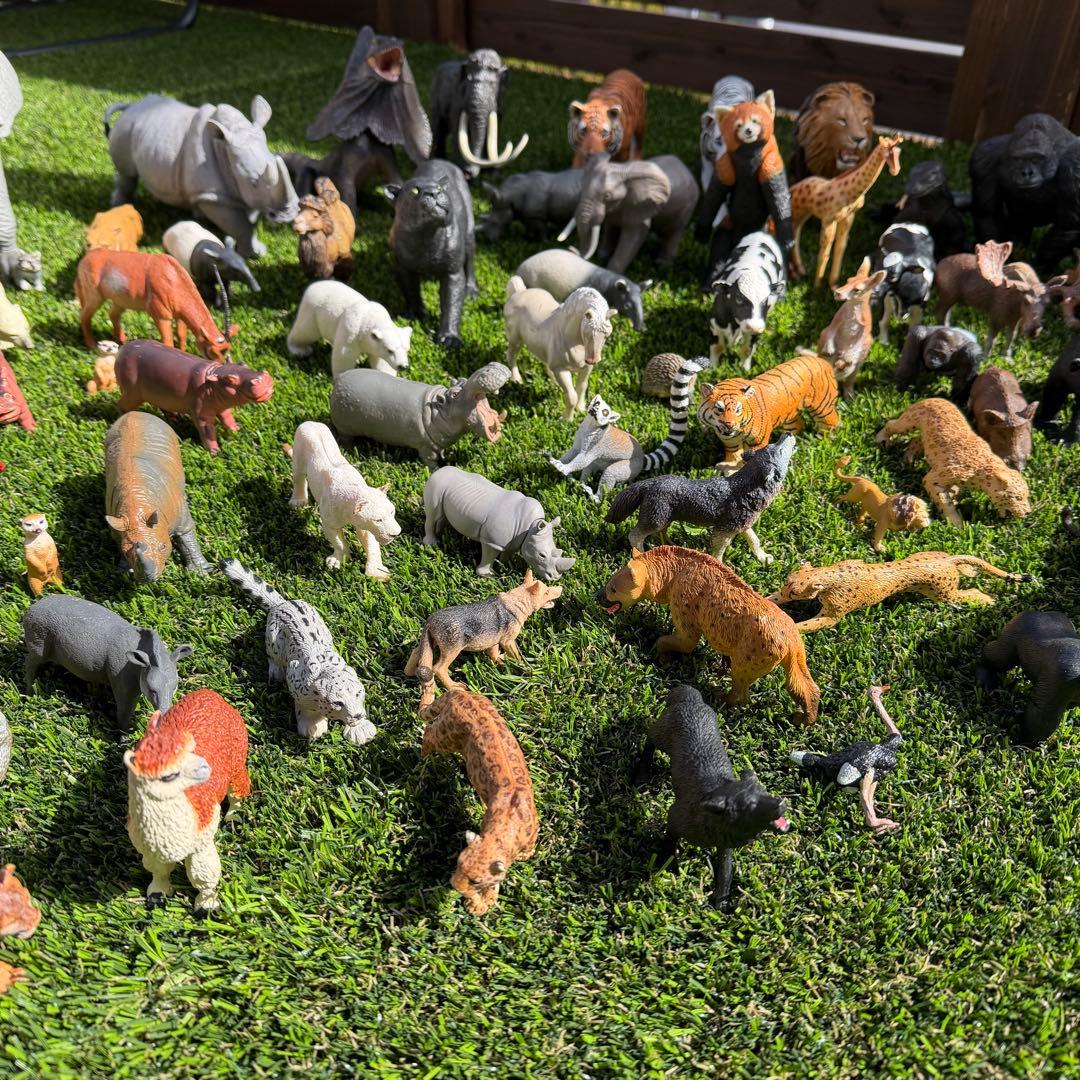 アニマル 動物 フィギュア コレクション 大量セット
