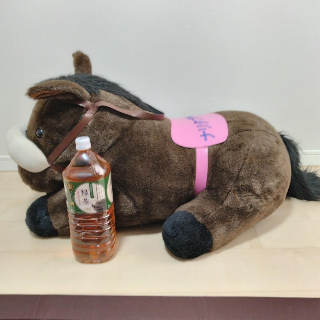3Ｌナリタブライアン ぬいぐるみ ウマ娘 馬 競馬 JRA グッズ アバンティ