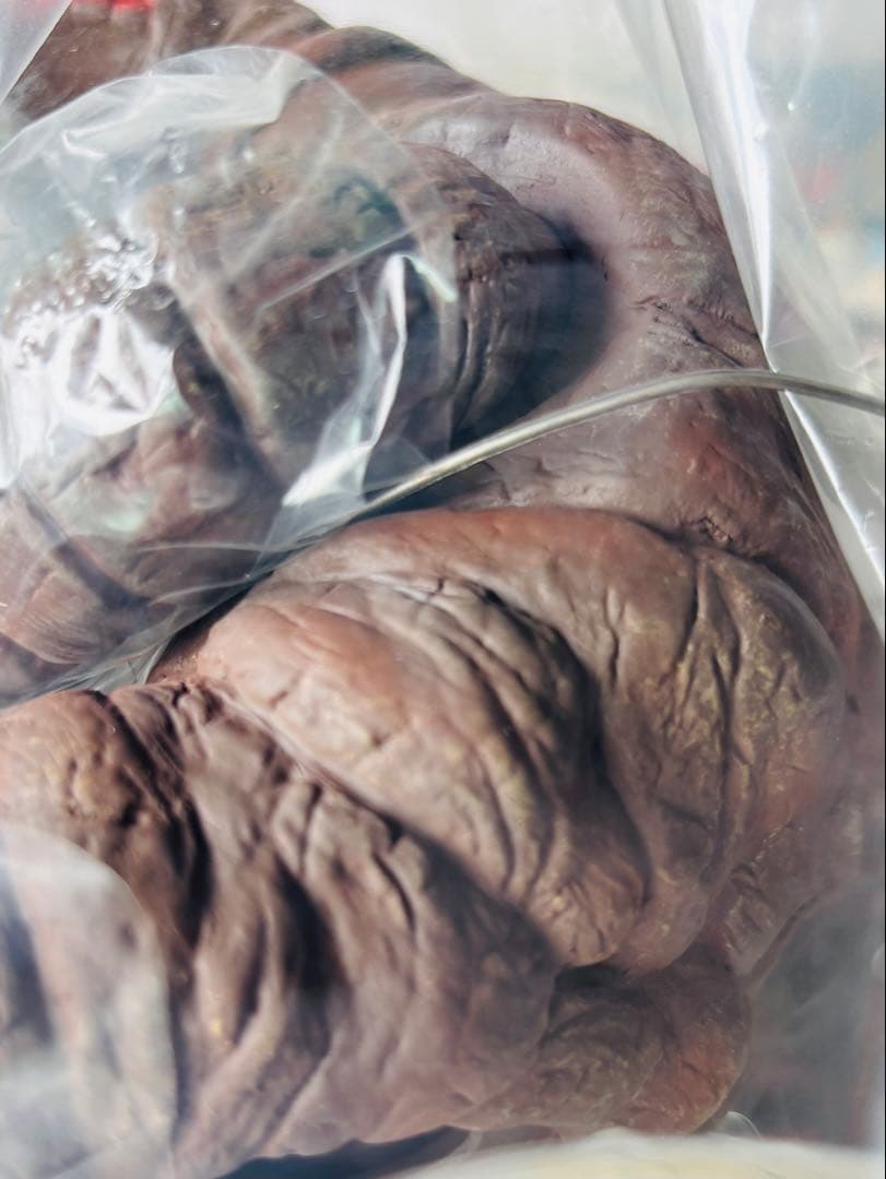 X-PLUS 大怪獣シリーズ　ウルトラマン怪獣　テレスドン　未開封品