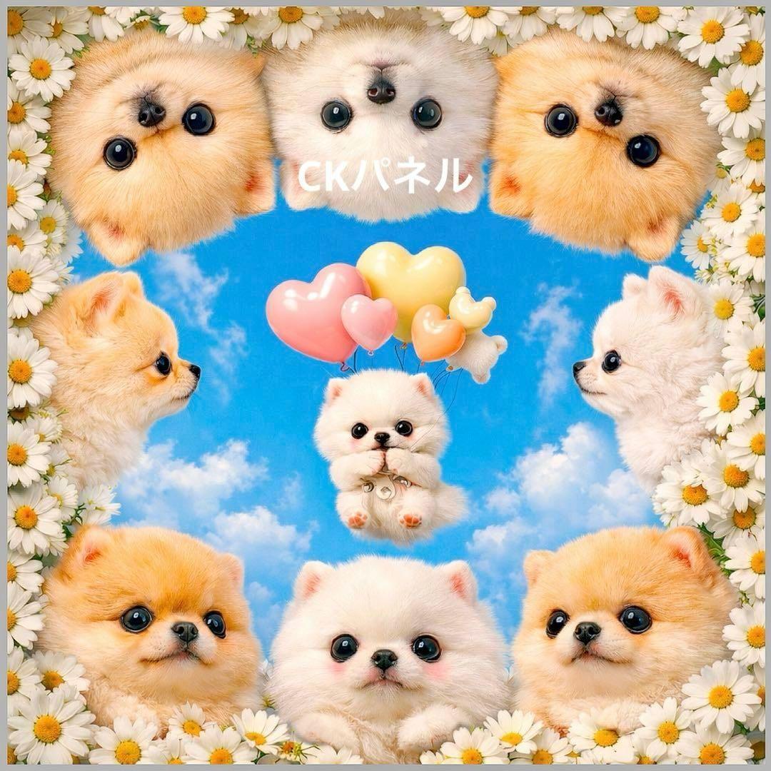 激レアトイプー、ポメラニアン、柴犬、チワワ、ダックス、パグパネル生地