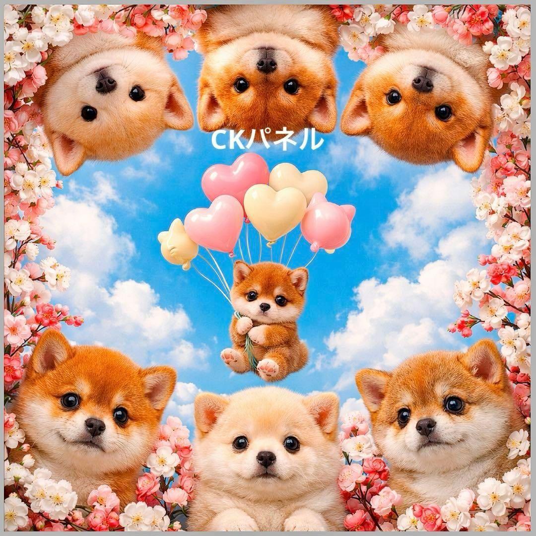 激レアトイプー、ポメラニアン、柴犬、チワワ、ダックス、パグパネル生地