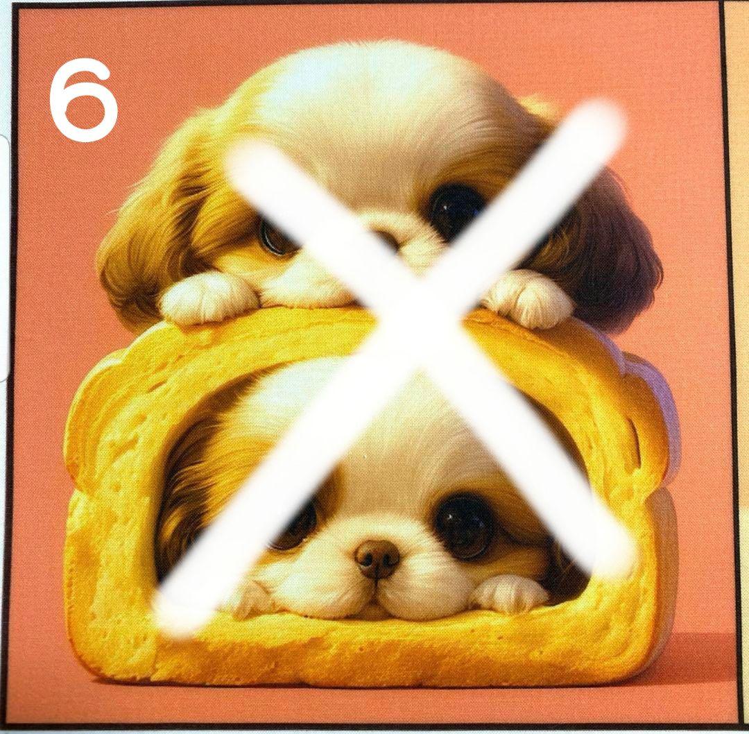 オーダー受け　食パン　シーズー　ご予約ページ　5/16
