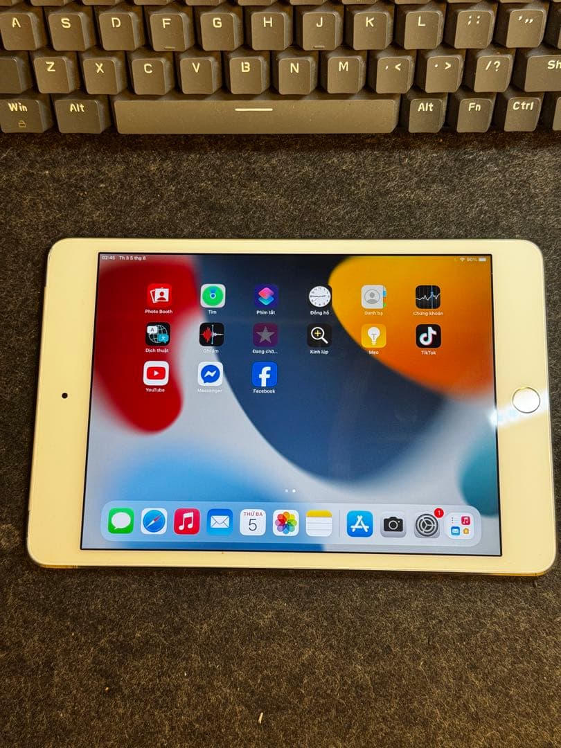 iPad本体 Ipad mini 4 16GB