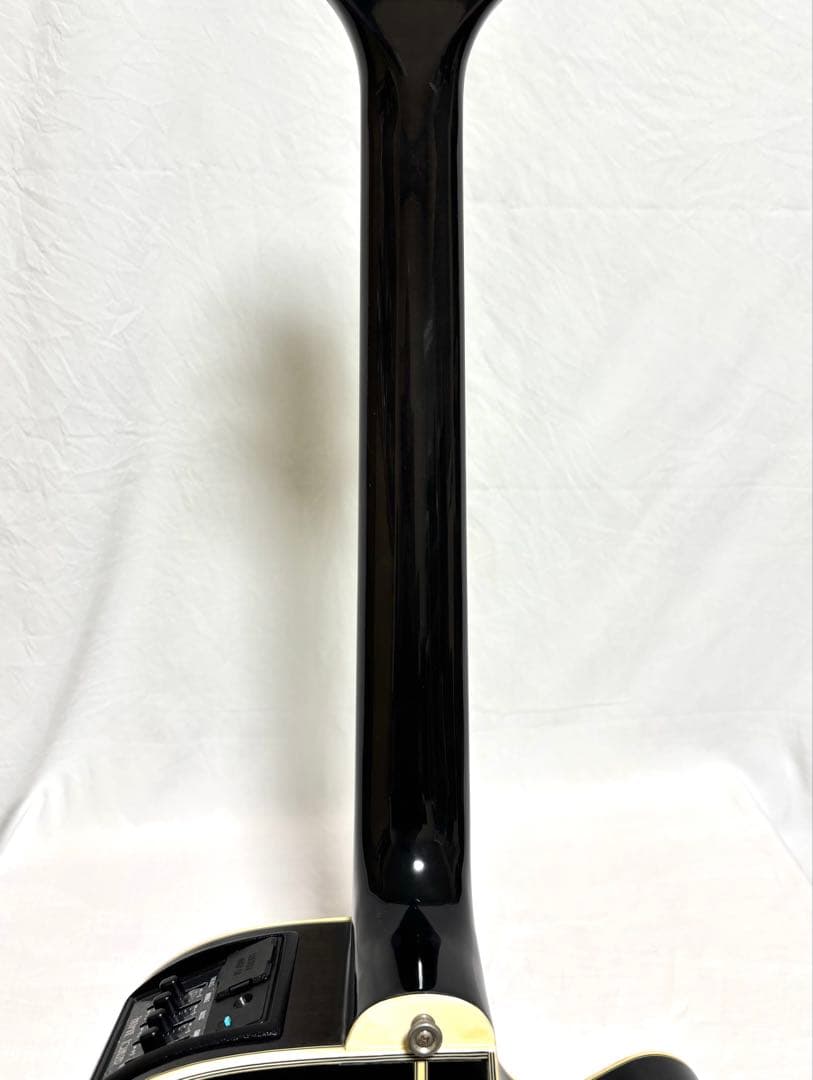 【新品弦張替済】TAKAMINE エレアコ PT-106LH レフティー