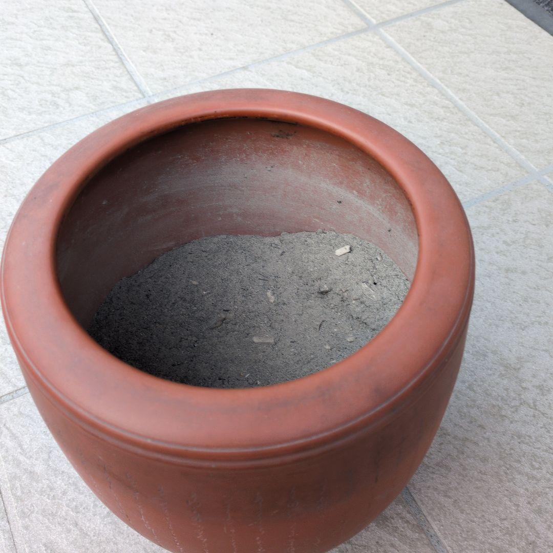 常滑焼　朱泥　火鉢