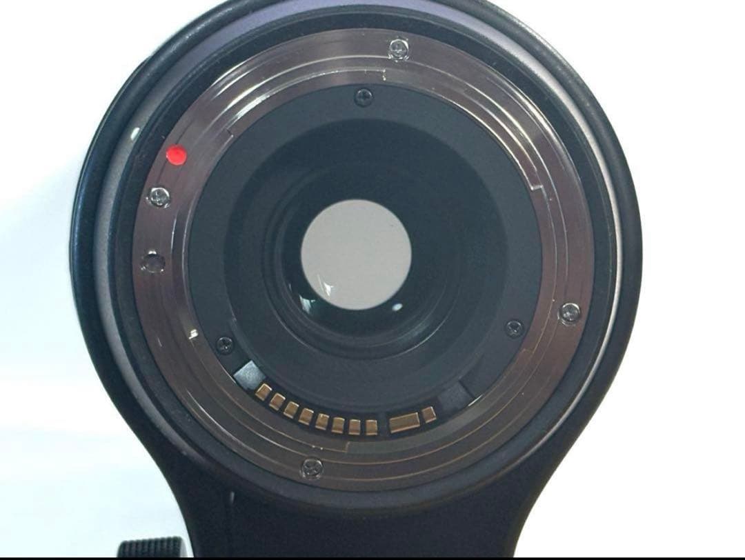 シグマ CANON用 150-600mm F5-6.3 テレコンバーターセット