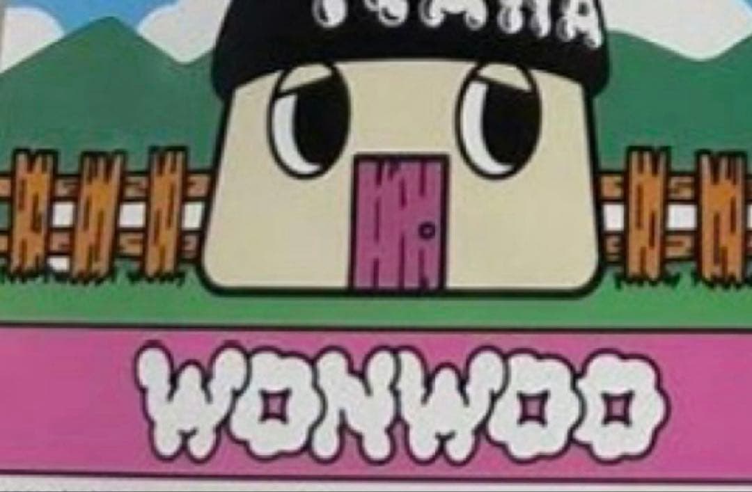 SEVENTEEN ぬいぐるみ洋服　F