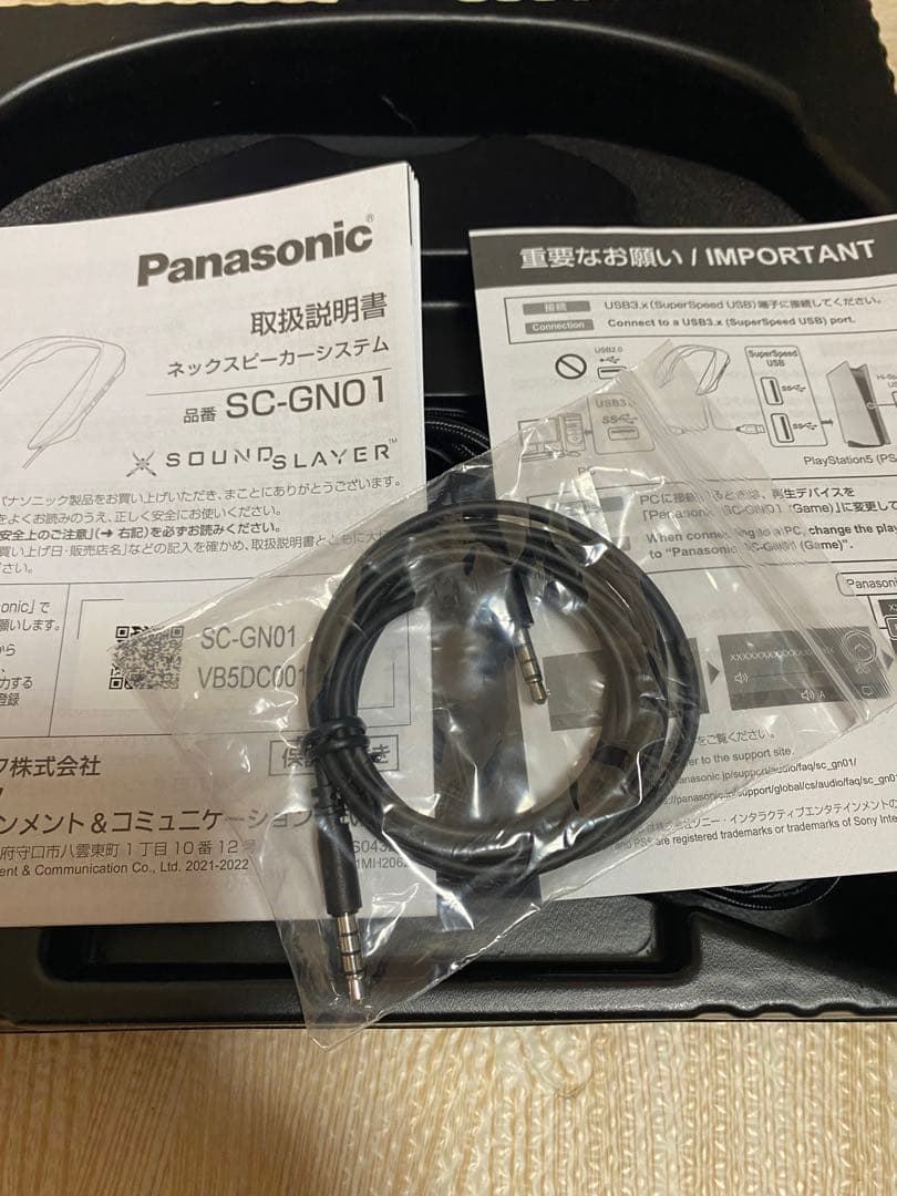 Panasonic SC-GN01 ネックスピーカーシステム