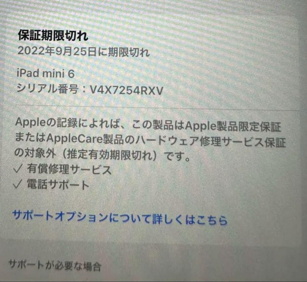 iPad mini 第6世代 256gb WI-FI + Cellular