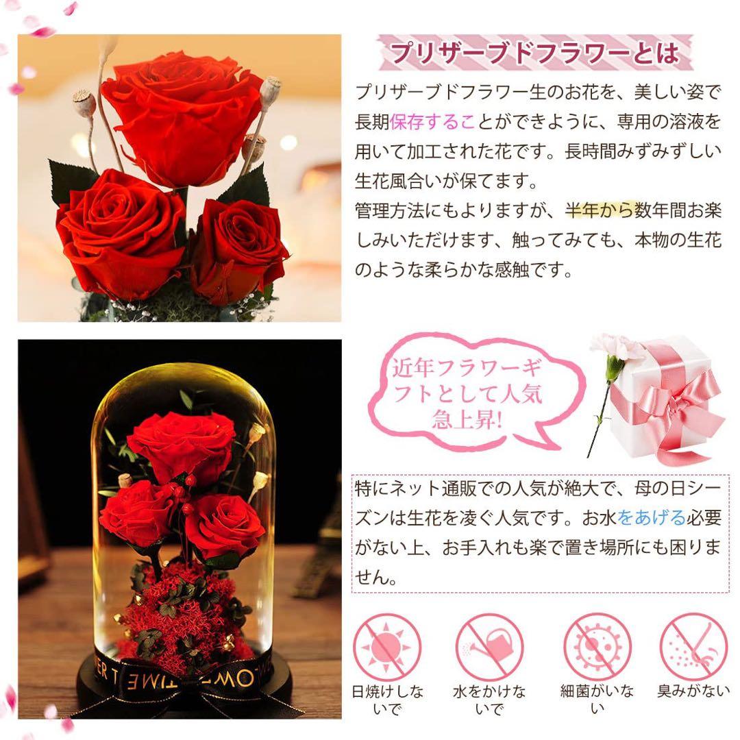 チャコ　プリザーブドフラワー