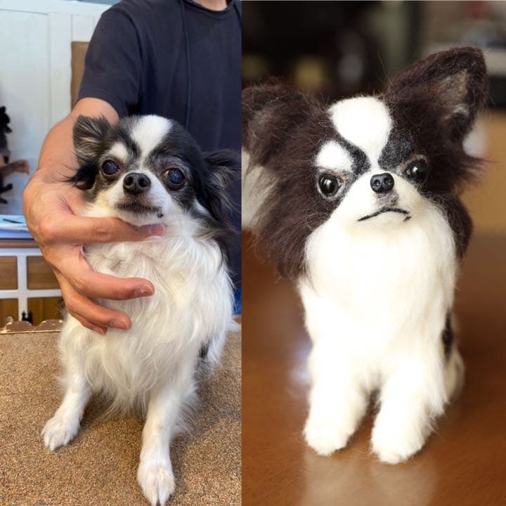 羊毛フェルト　ロングコートチワワ