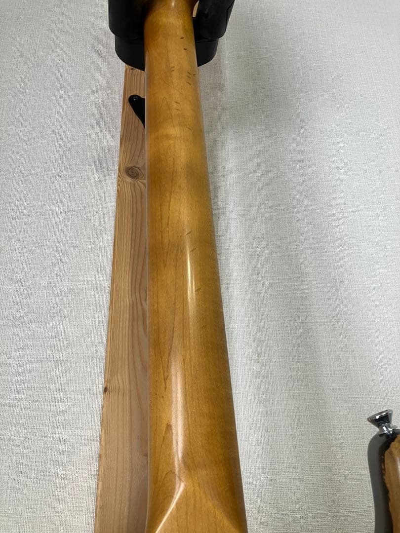 Edwards E-SE 120R/LT SRVモデル
