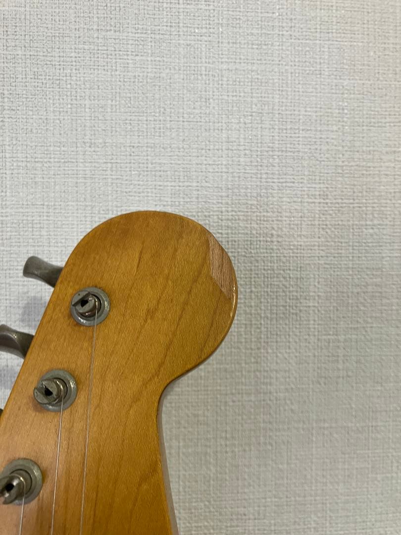 Edwards E-SE 120R/LT SRVモデル