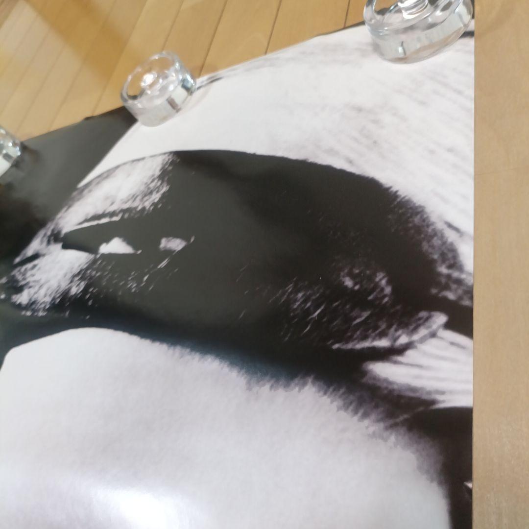MADONNA 1992 Dita ポスター 未使用