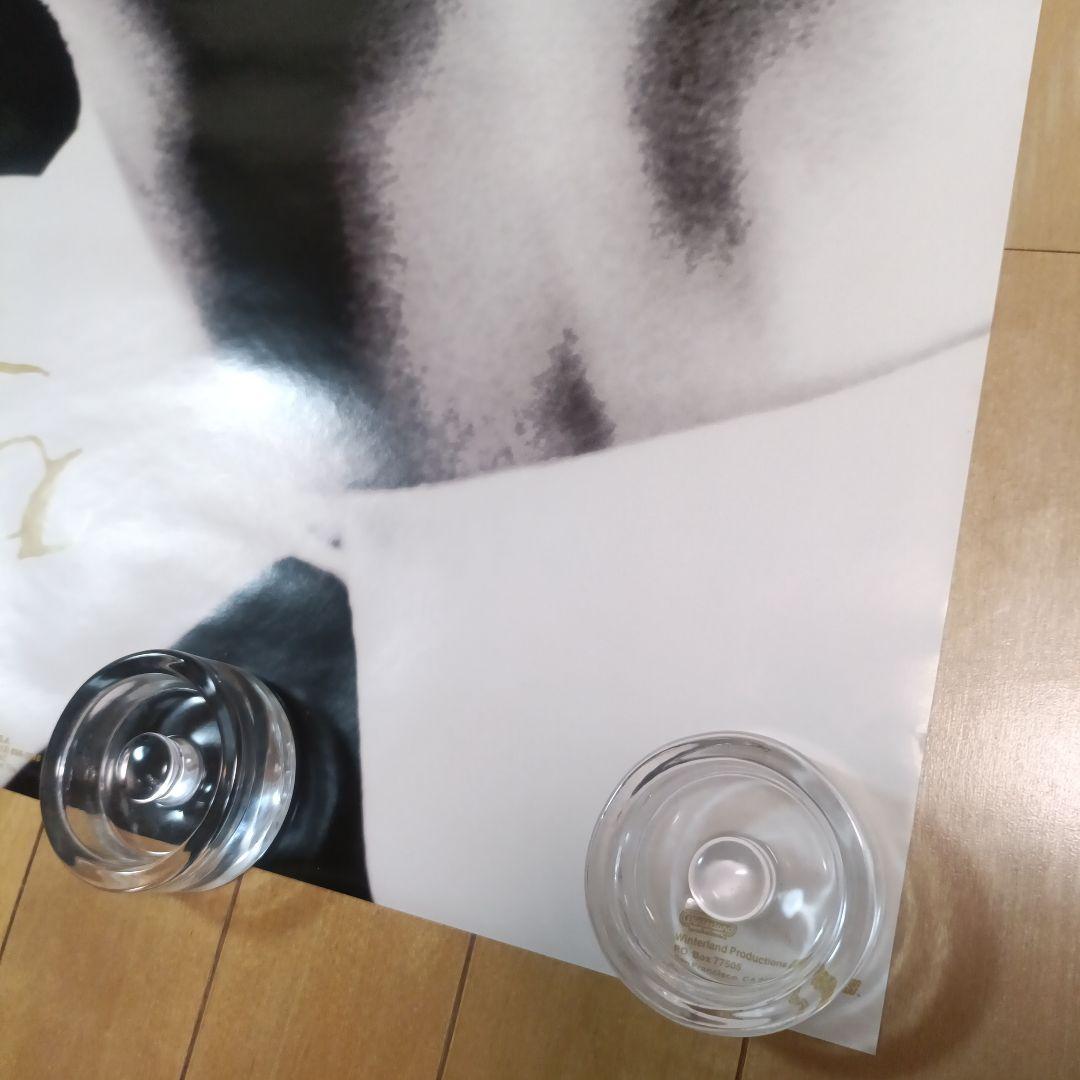 MADONNA 1992 Dita ポスター 未使用