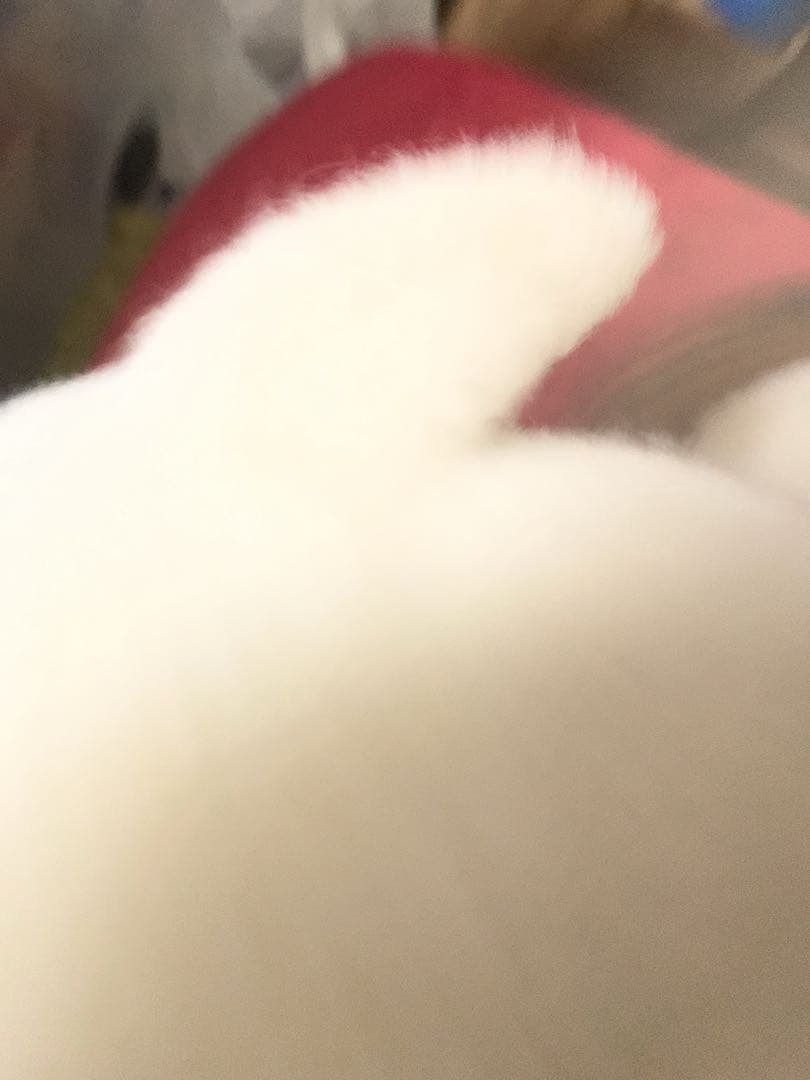 スヌーピー　チャーリーブラウン　レトロぬいぐるみ　ハンドパペット