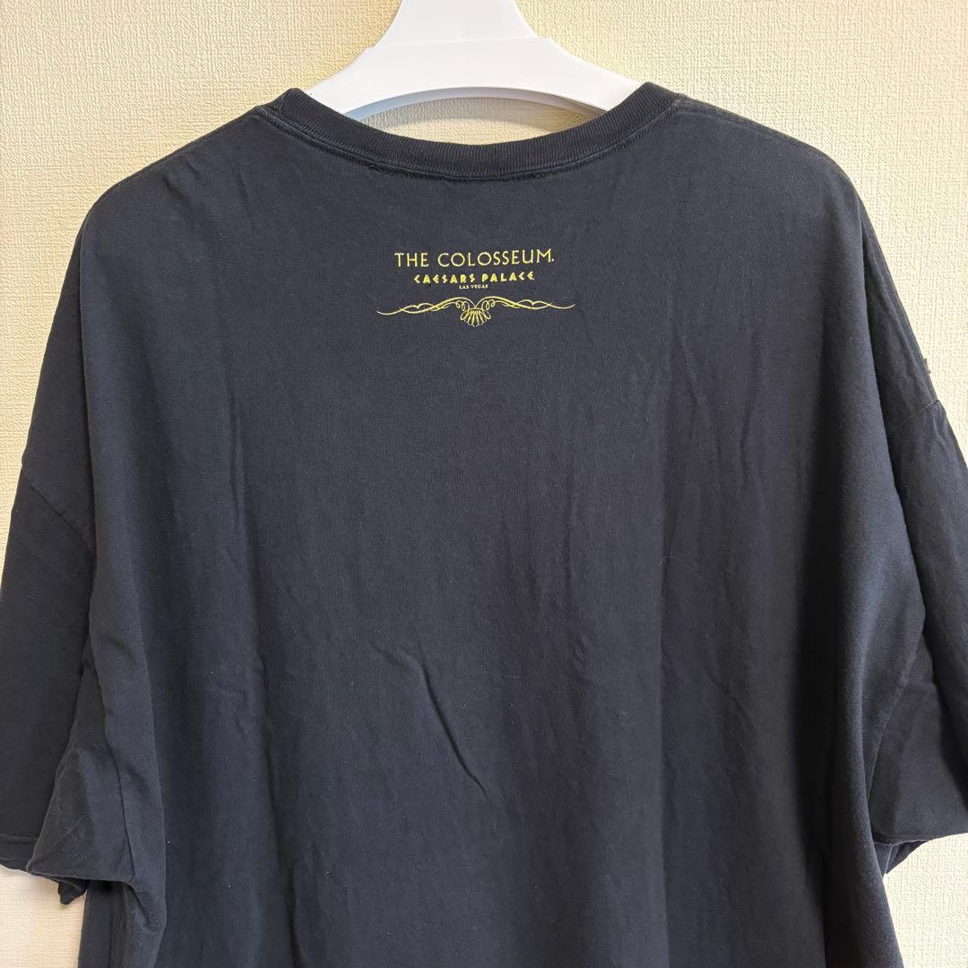 Cher バンドT 洋楽 ラスベガス Tシャツ
