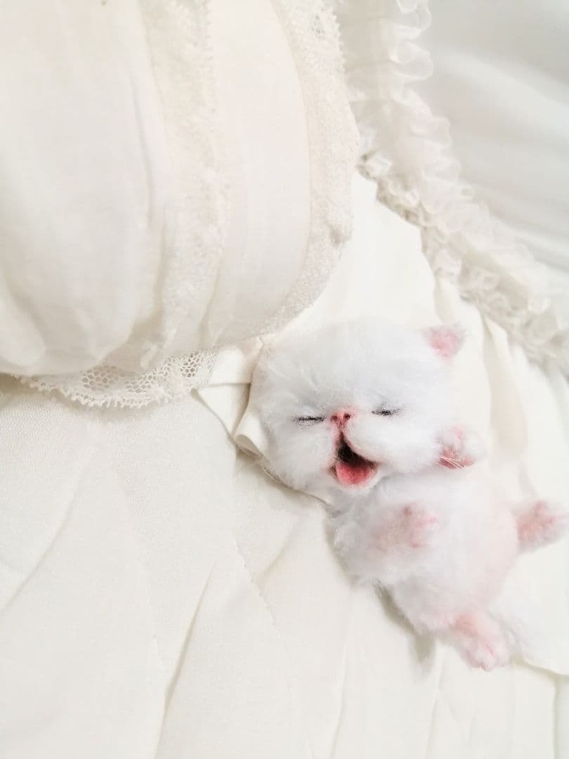 あくびちゃん♡おねむ子猫♡ベビー♡アートドール♡ぬいぐるみ♡