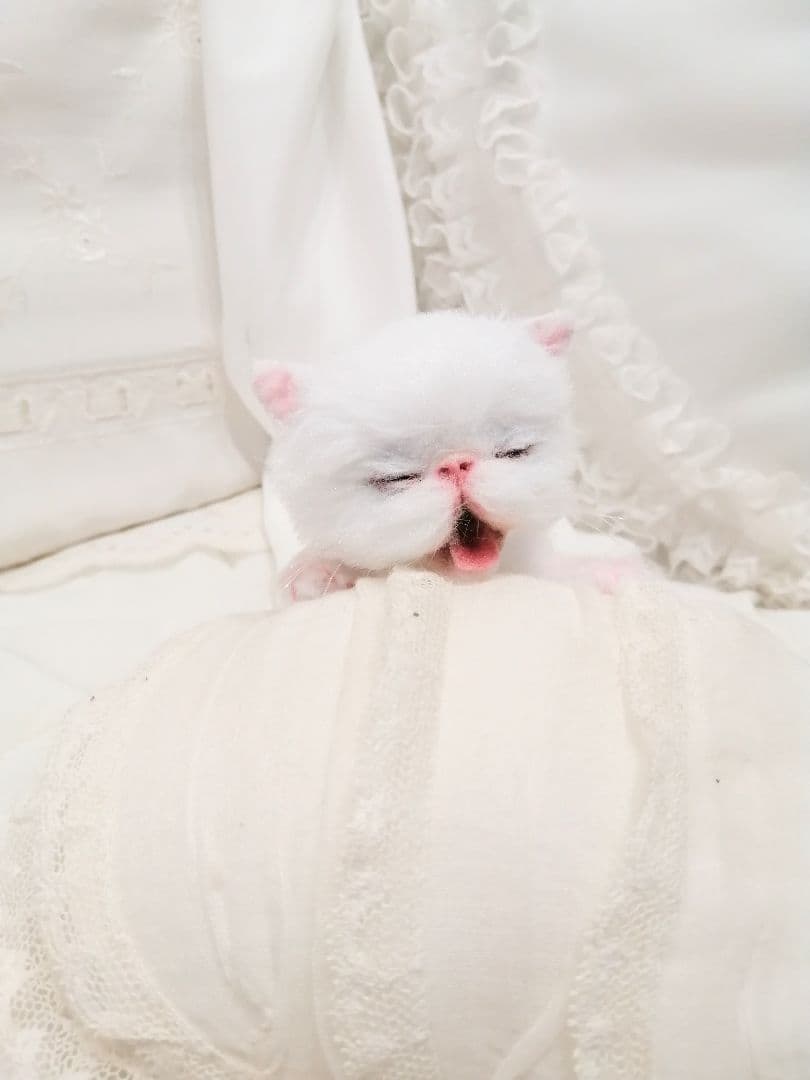 あくびちゃん♡おねむ子猫♡ベビー♡アートドール♡ぬいぐるみ♡