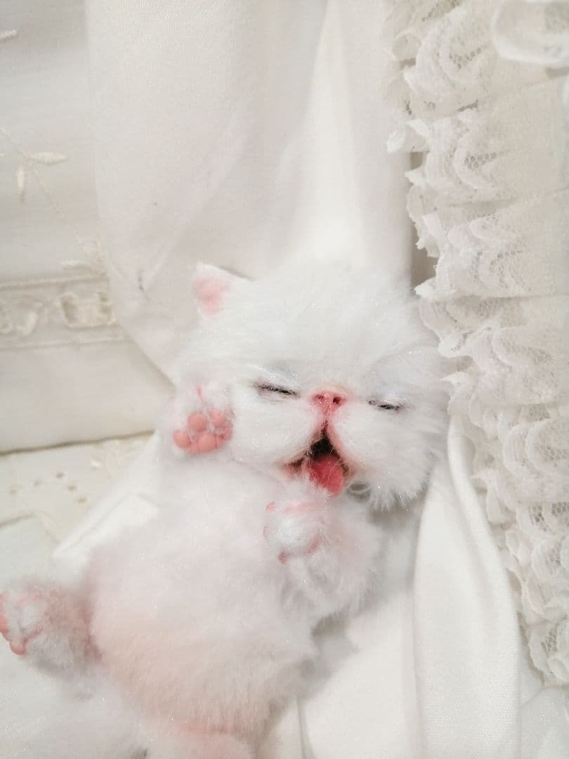 あくびちゃん♡おねむ子猫♡ベビー♡アートドール♡ぬいぐるみ♡