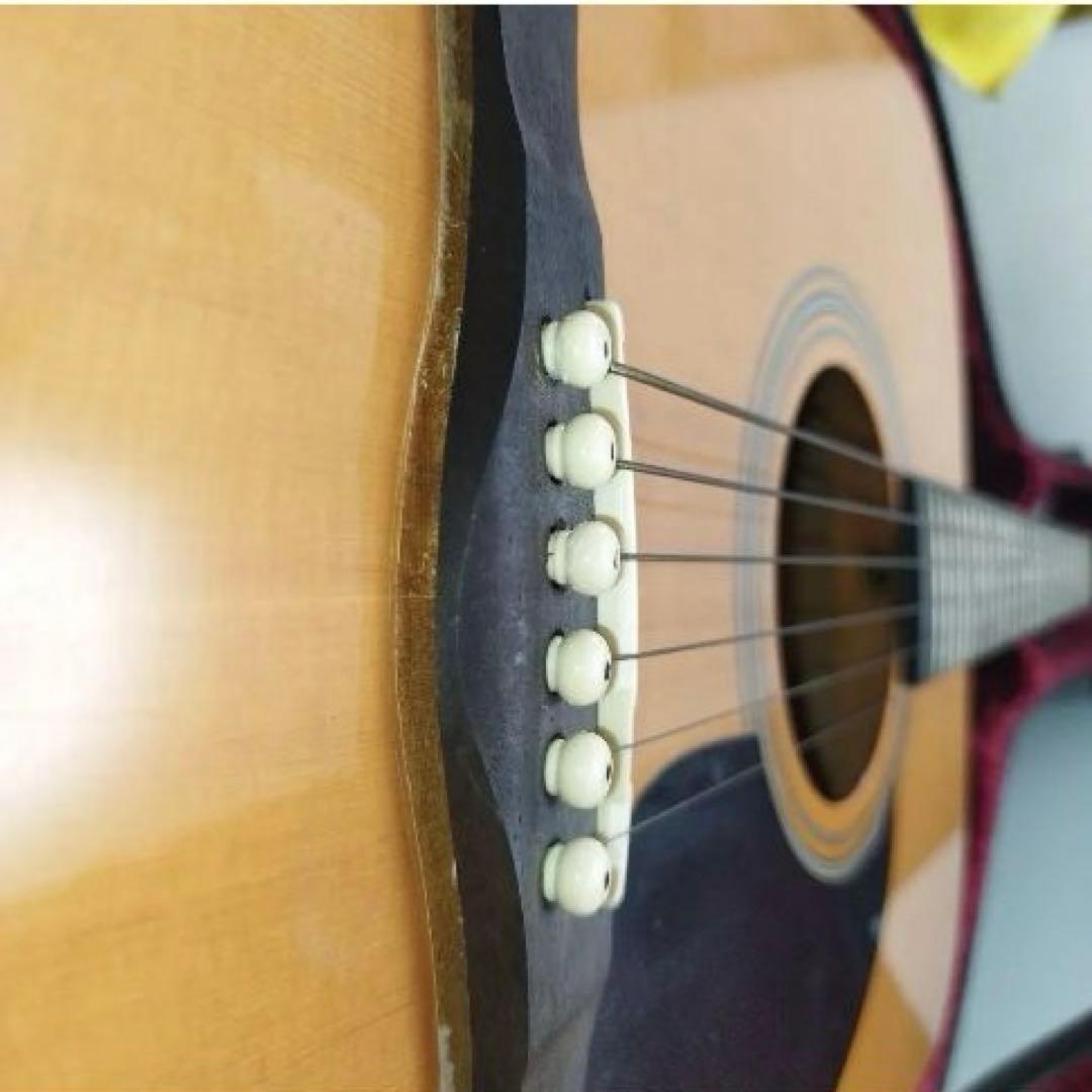 Lumberz アコースティックギター LDG10NA ハードケース付き