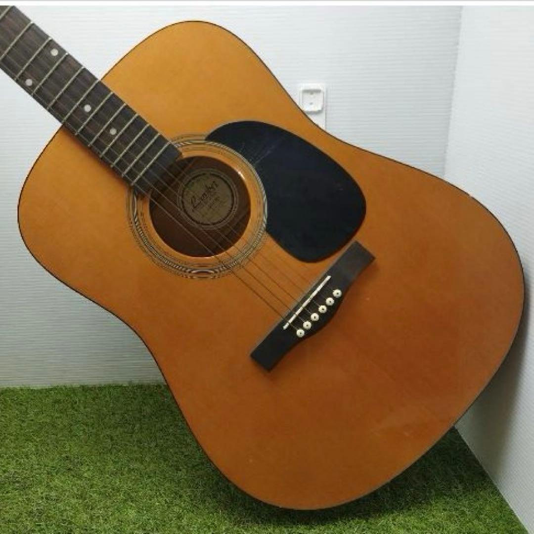 Lumberz アコースティックギター LDG10NA ハードケース付き