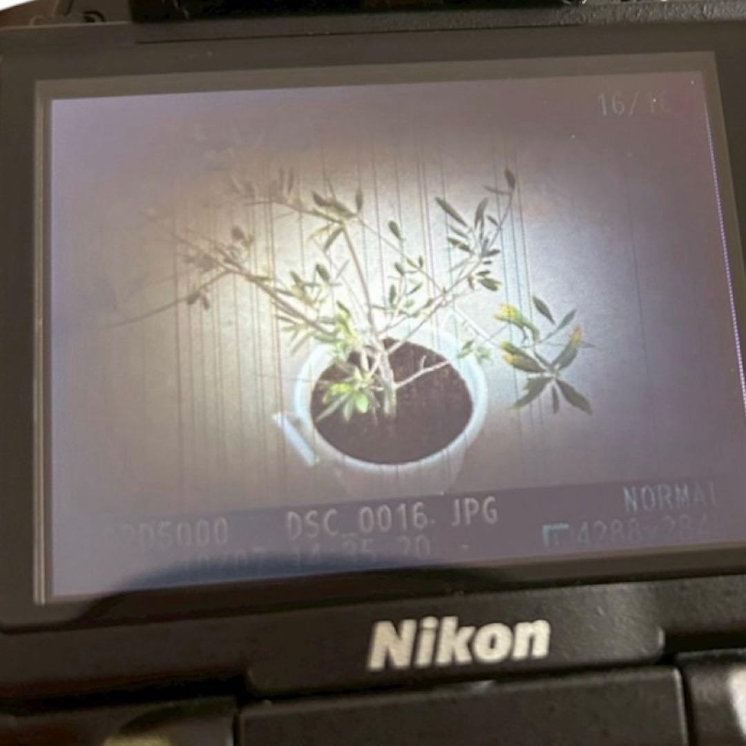 撮影可能❤️訳あり❤️Nikonニコン D5000 本体のみ ボディのみ