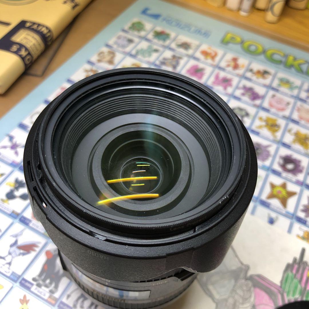 【ニコン用ズームレンズ】28-300mm F/3.5-6.3 Di VC PZD